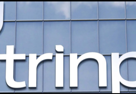 Logo TRINP